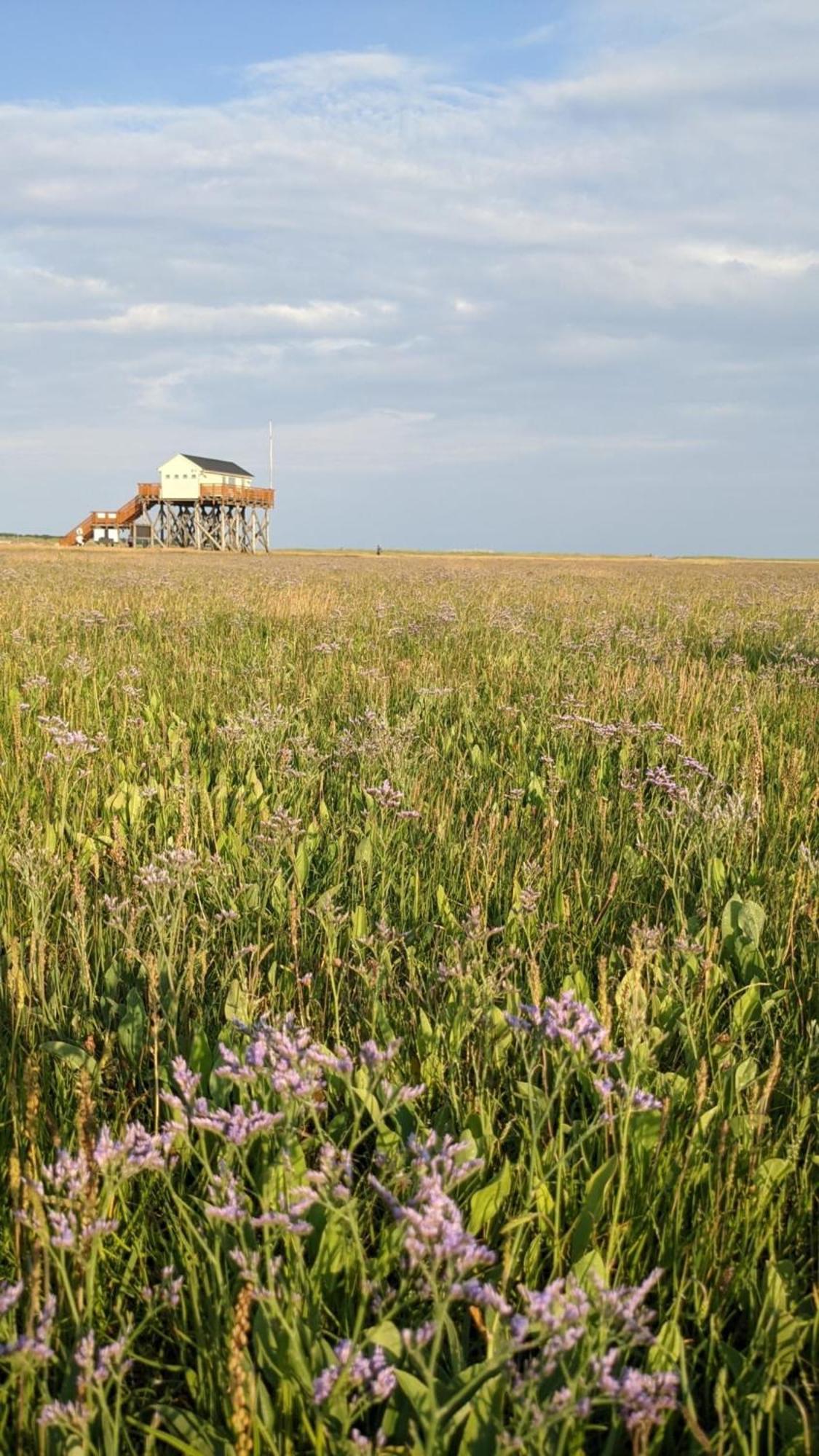 Birkenlund Villa Böhl Dış mekan fotoğraf